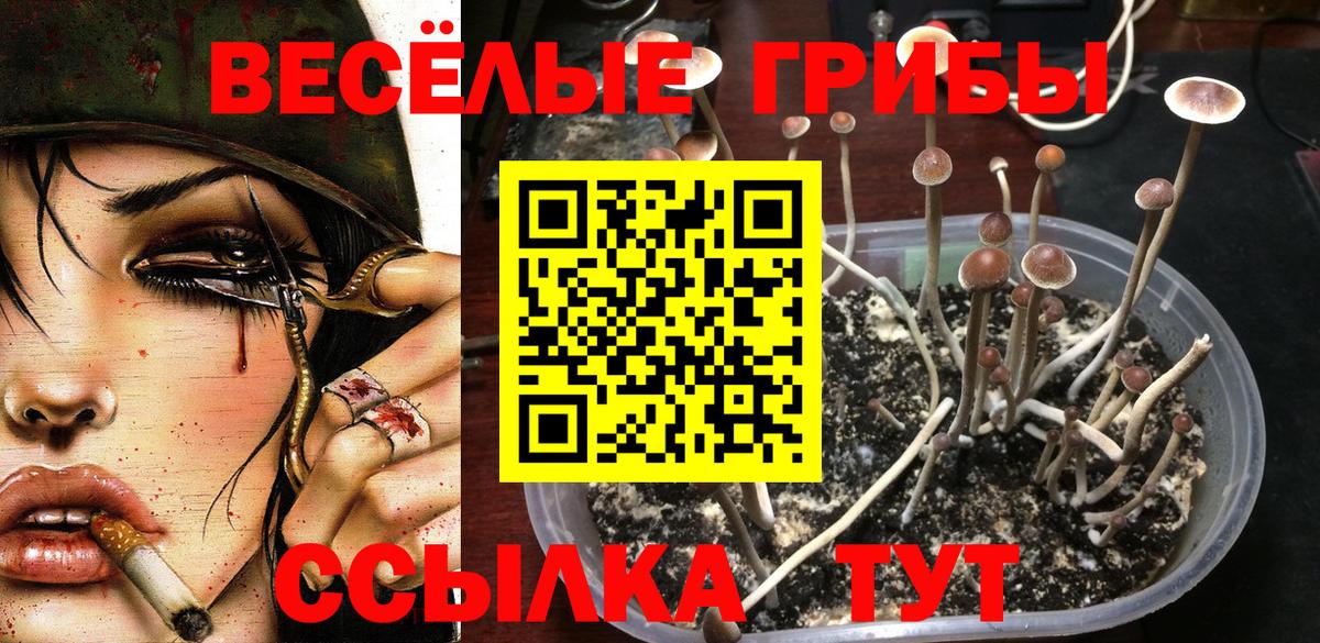 Псилоцибиновые грибы мицелий Миллерово
