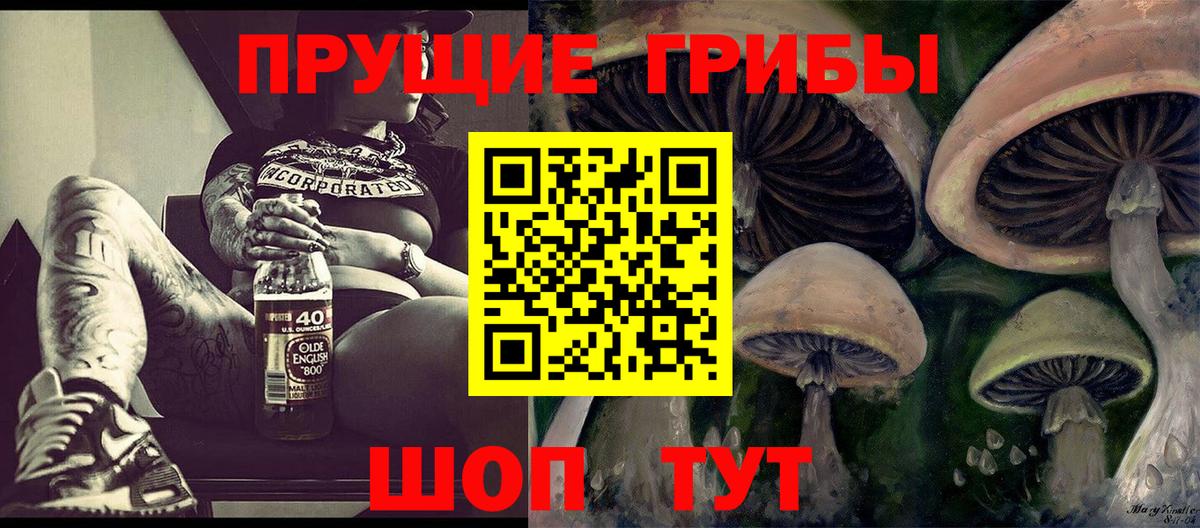 Галлюциногенные грибы GOLDEN TEACHER  Вход с VPN  Миллерово  Псилоцибиновые грибы мухоморы 